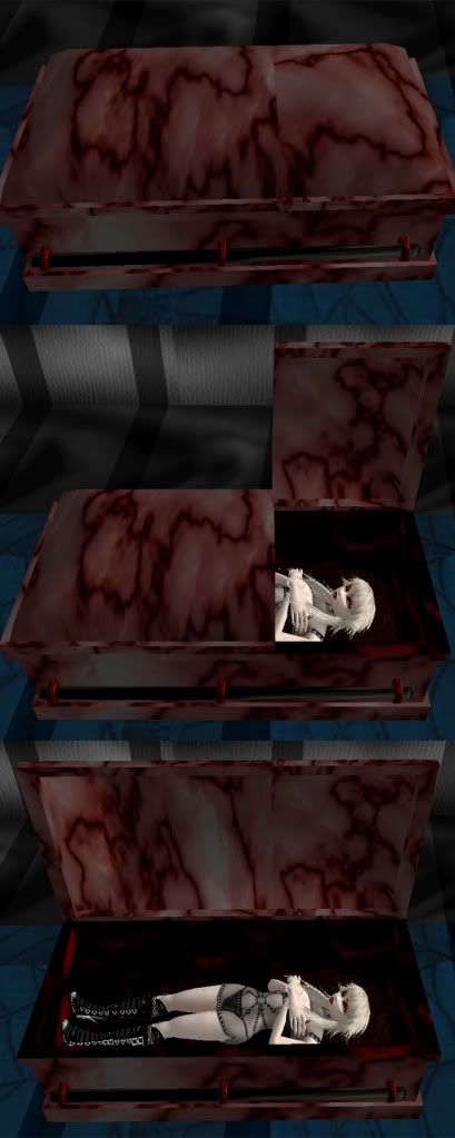 Vampire Coffin RD01
