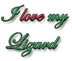 I love my lizard sticker