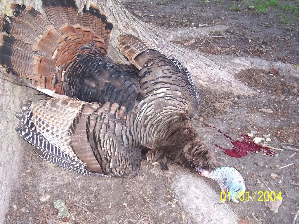 HuntingPhotos005.jpg
