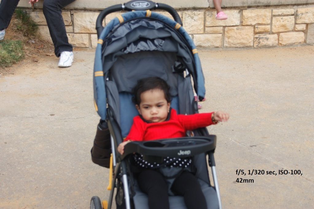 IMAGE: http://i700.photobucket.com/albums/ww5/vsrikanth/_MG_0166.jpg