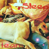 sleepteam.png