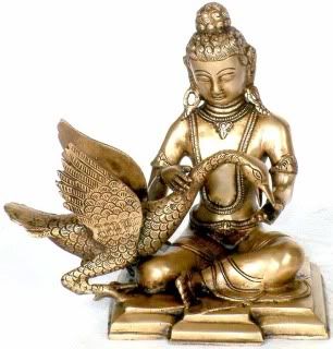 buddha cigno