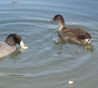 teen coot and mom