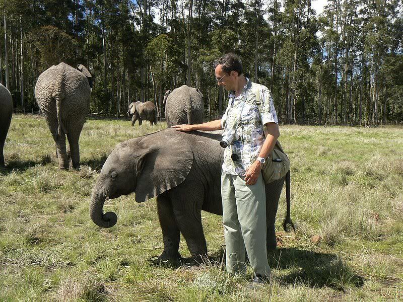 Со своим слоном в Африку. 2008 (много фото)