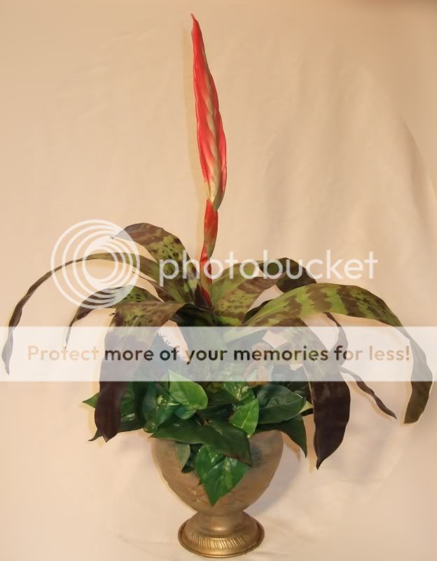 SILK FLOWERS ARRANGEMENT FLAGING SWORD BROMELIAD  