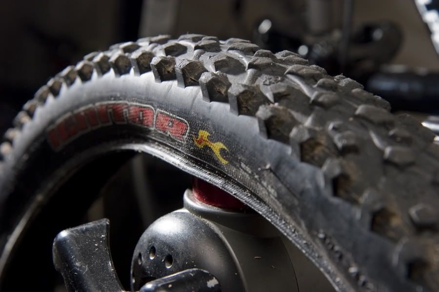 maxxis ignitor 2.1